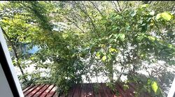 Telok Blangah Road (D4), Terrace #588373701